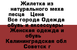 Жилетка из натурального меха песца › Цена ­ 18 000 - Все города Одежда, обувь и аксессуары » Женская одежда и обувь   . Калининградская обл.,Советск г.